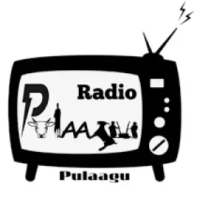 Radio Pulaagu